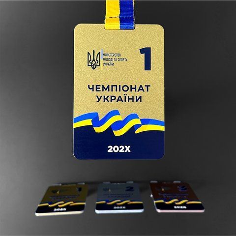 Медаль "Министерская", золото, прямоугольная, 60х90 мм, з надписью и лентой MIN0102 фото